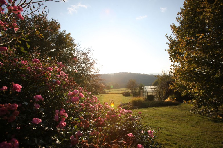 Entspanntes Leben inmitten der Natur mit Blick auf das Siebengebirge